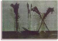 Levay-05.jpg